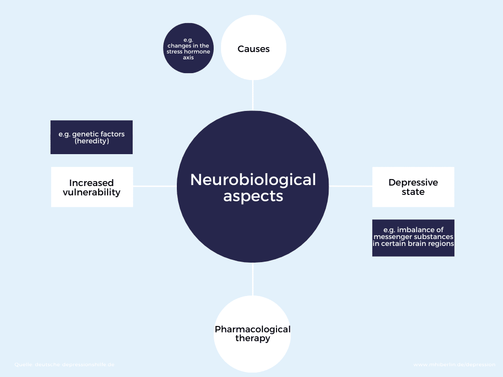 Neurobiologische Ursachen einer Depression